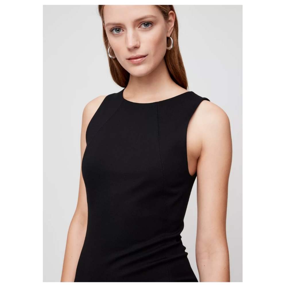 Babaton Miguel Dress